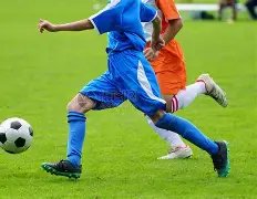 拜仁新加盟,球员惊艳,客场击败不,世界杯转播,2026世界杯,赛事直播,回放视频,观看方式