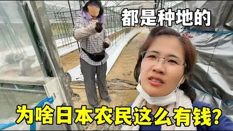 “伊万教练表现不佳，战术部署过时，调整反应过于保守”