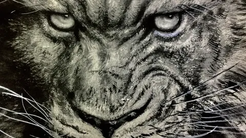 大乐透期号专家推荐质合分析前区十码